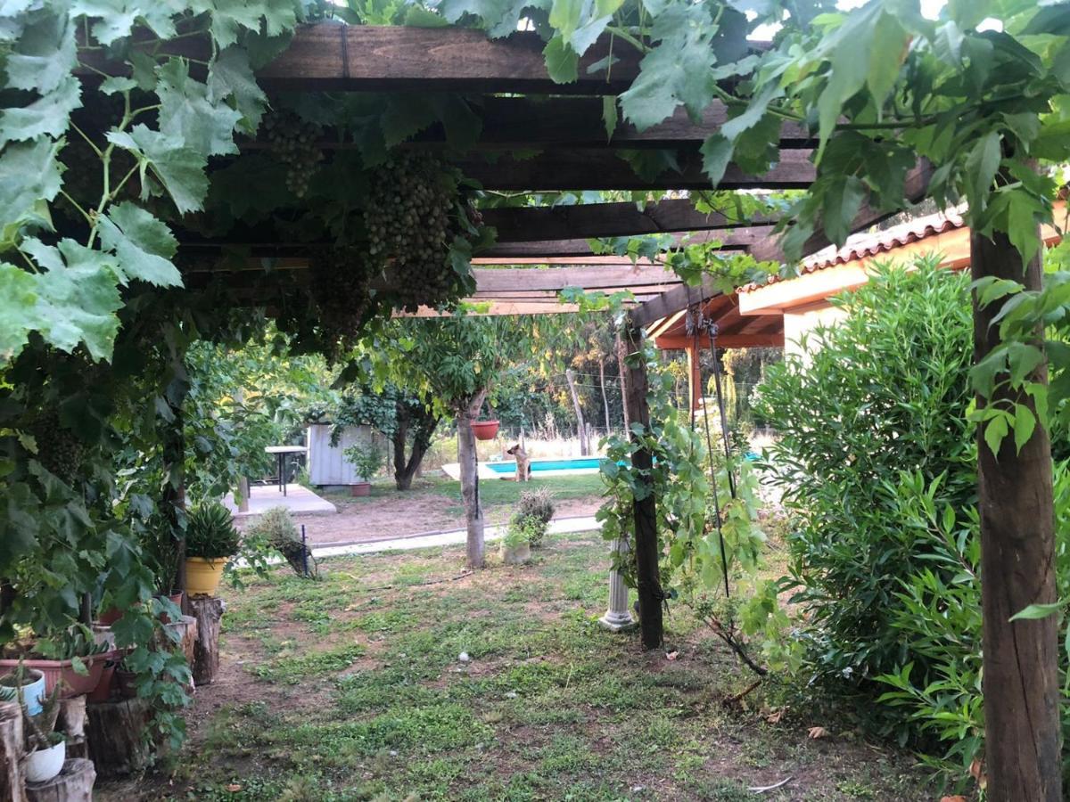 Alojamiento Los Nogales Santa Cruz Dış mekan fotoğraf
