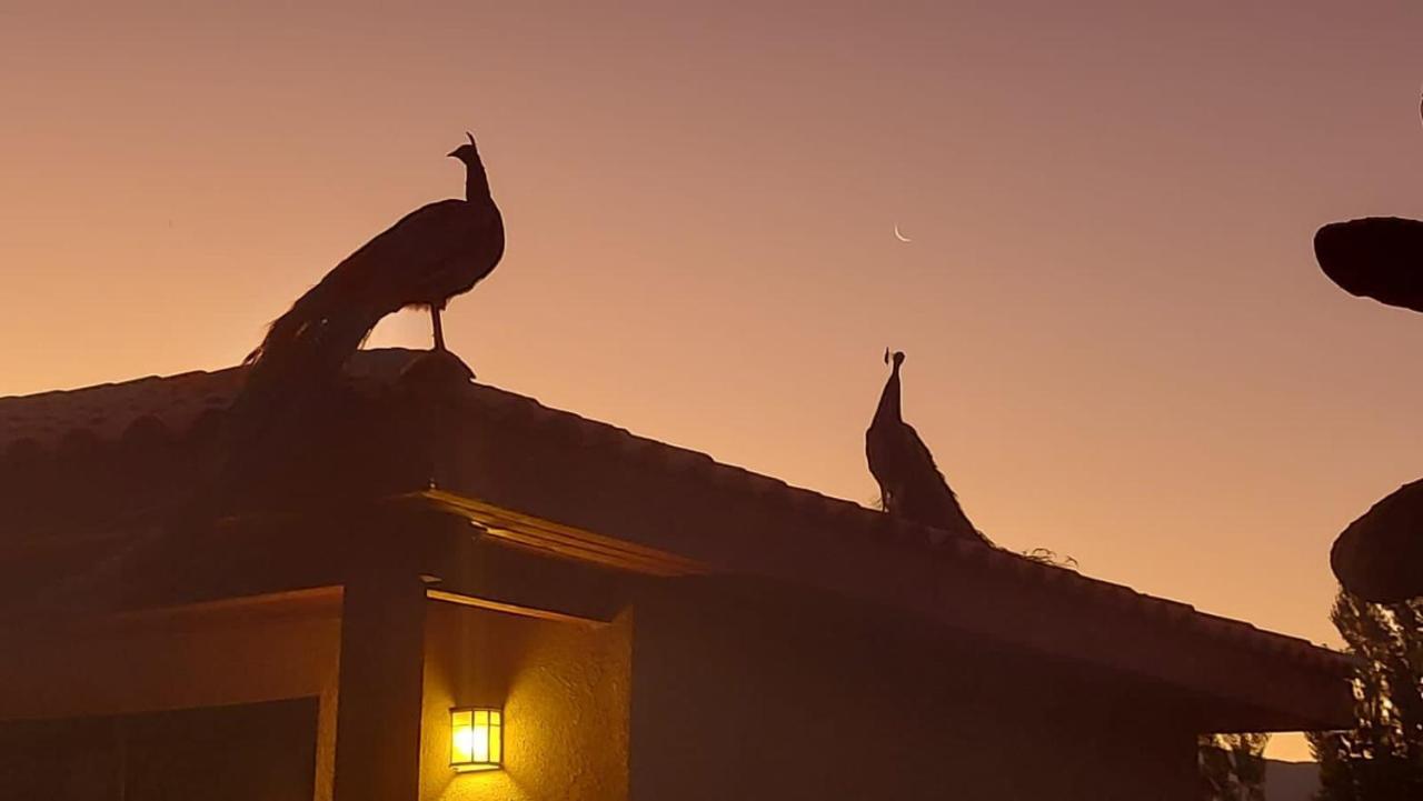 Alojamiento Los Nogales Santa Cruz Dış mekan fotoğraf